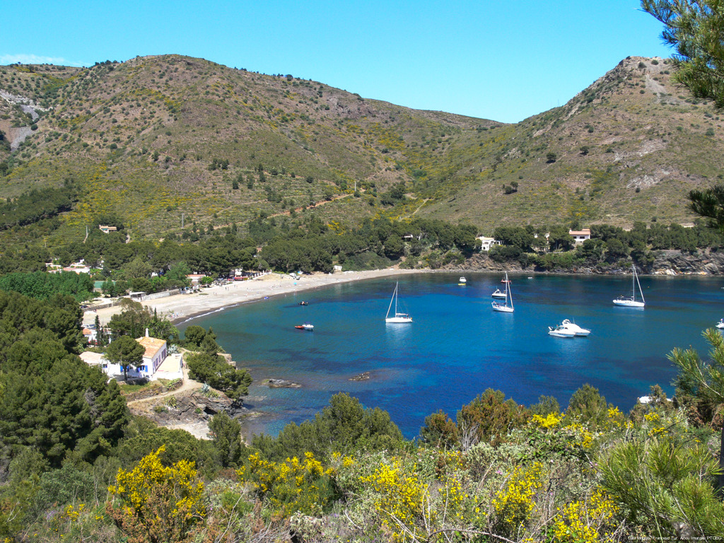 Cala-Montjoi.-Francesc-Tur.-Arxiu-Imatges-PTCBG